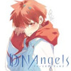 DDNAngels