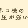 今日もネコ様の圧が強い