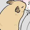 デグー日記