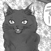 ねこだま。