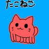 たこねこ