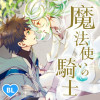 魔法使いの騎士