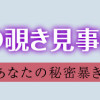 王宮女官の覗き見事件簿 ～空気読まずにあなたの秘密暴きます～