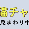 元野良猫チャチャ 本日も見まわり中