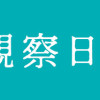 人魚観察日記