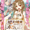 婚約破棄されました 本気出していいですよね THE COMIC