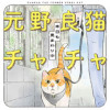 元野良猫チャチャ 本日も見まわり中