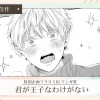 君が王子なわけない
