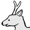 どうぶつの真実
