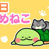 毎日かめねこ
