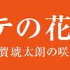 シテの花-能楽師・葉賀琥太朗の咲き方-