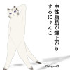 中性脂肪が爆上がりするにゃんこ