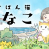 るすばん猫きなこ