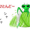 ハマとんど～