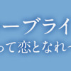 ピクチャーブライド ～海を渡って恋となれ～