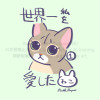 世界一私を愛したねこ(シンガプーラのりんちゃん)