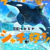 デッカ可愛いシャチが好き!