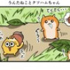 うんたねことクソハムちゃん