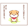 しばいぬべびー