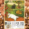 白猫、黒猫、しましま猫
