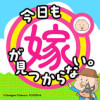 今日も嫁が見つからない。