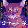 コマの一生