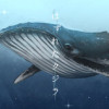 「はずれたクジラ」