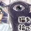 猫を拾った話。