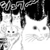 猫のマンガ