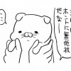 猫のきにゃさんと私