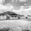 田舎