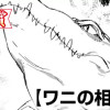 ワニの相談所(青年漫画賞・編集長賞)