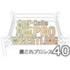 艦これプロレス その40