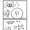 ヒラマンガ