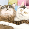 伊藤潤二の猫日記 よん&むー