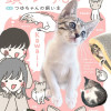 ねこのつゆちゃんのことで頭がいっぱいです