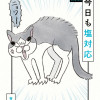 うちの猫は今日も塩対応