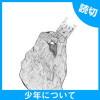 少年について