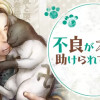 不良がネコに助けられてく話