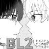 DV-BL(ドメスティックバイオレンス・ボーイズラブ)