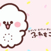 ふわもこちゃん