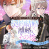 宰相補佐と黒騎士の契約結婚と離婚とその後 ～辺境の地で二人は夫婦をやり直す～