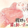 赤紙がきた猫