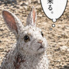 日本神話ファンタジー 葦原記