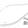 へんな生きもの
