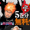 BLEACH カラー版