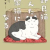 野良猫ごんた、家猫になる
