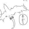 夢日記
