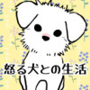 怒る犬との生活