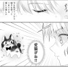 猫のための政略結婚ですわ